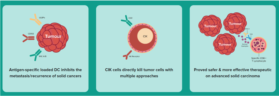 DC-CIK Therapy – Abgentil Biomedical